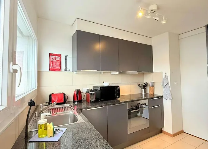 Appartement 178 Good Location Spacious And Free Parking Included Lausanne